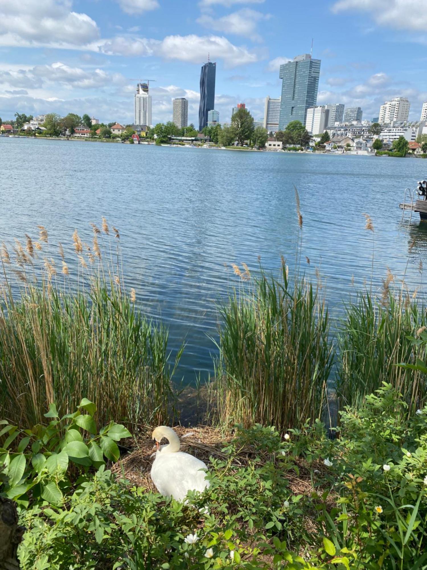 U1 Alte Donau Old Danube City Apartment 2 ウィーン エクステリア 写真